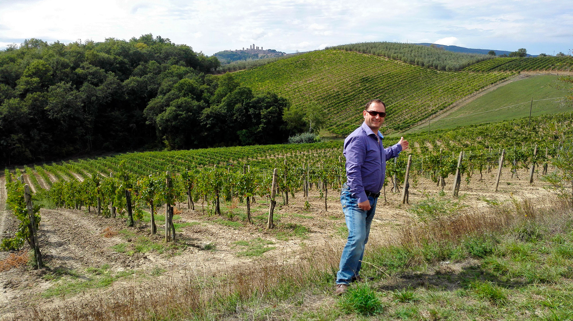 San Gimignano vineyard