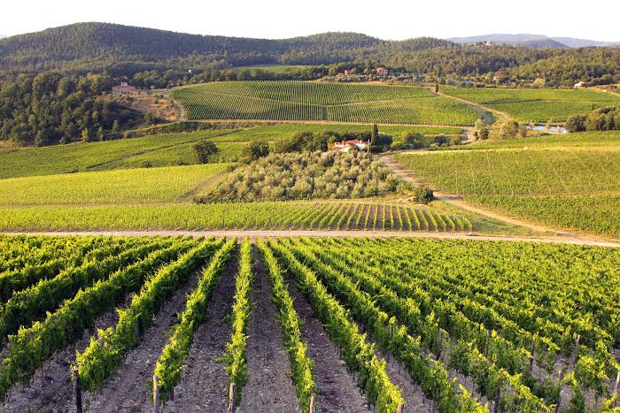 LEARN ABOUT ITALIAN WINES AND THE BEST TUSCAN ONES, MY PRIVATE WINE TOURS