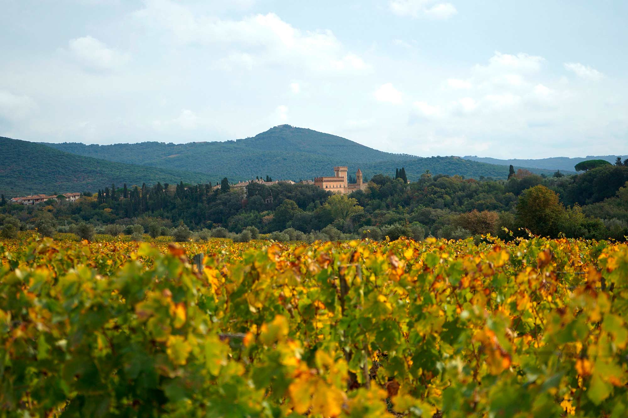 Bolgheri in autumn