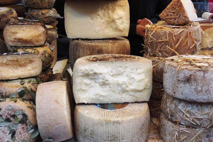 TUSCANY PECORINO CHEESE TOUR