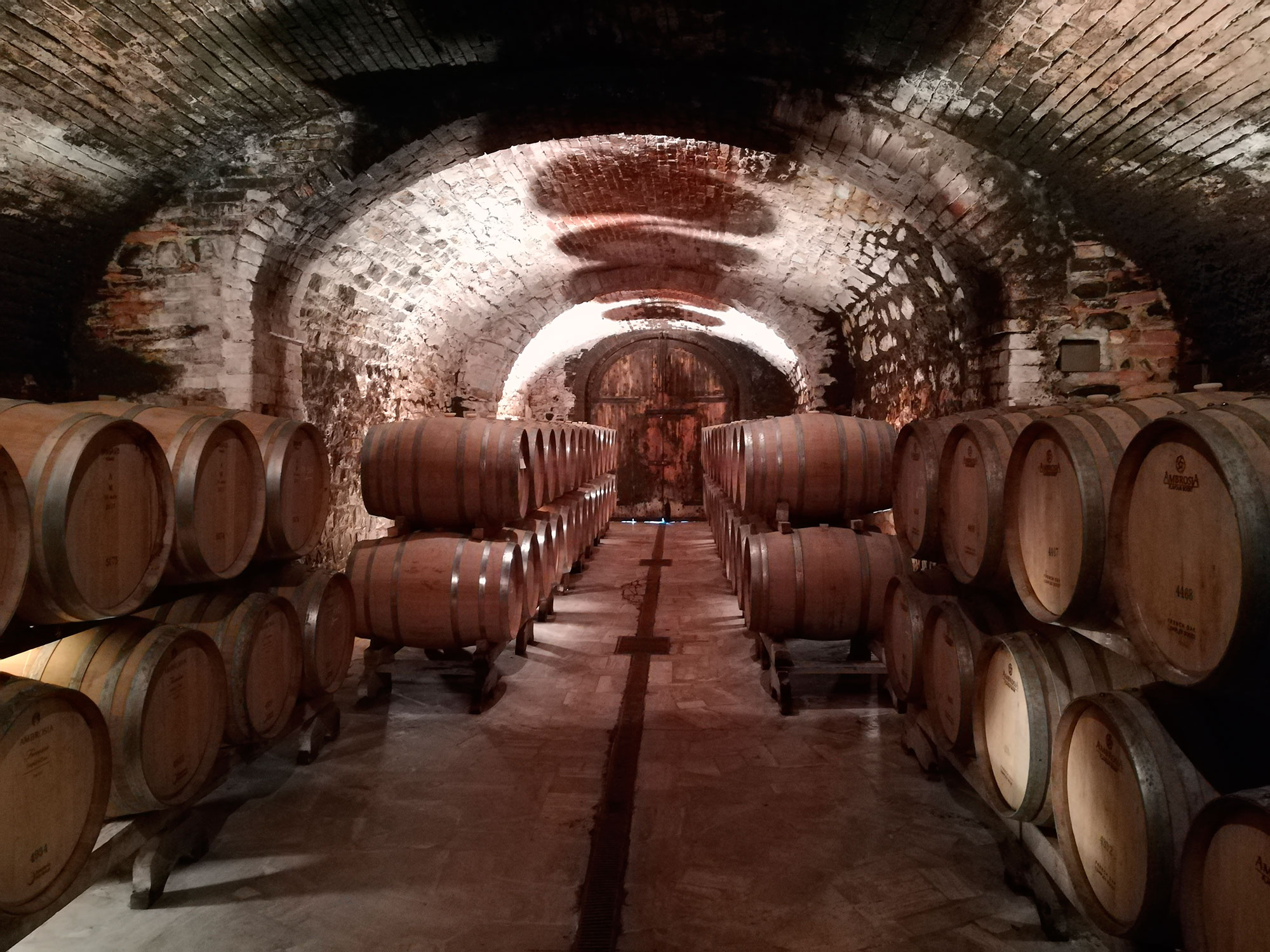 Chianti barrels cellar