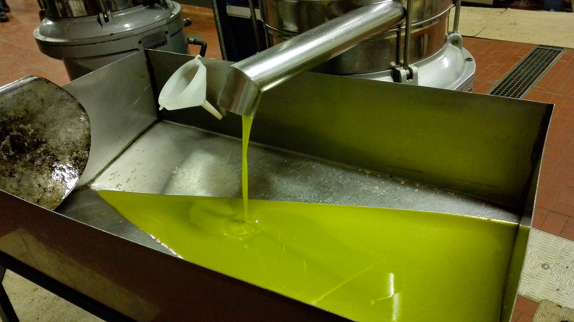 Olive oil