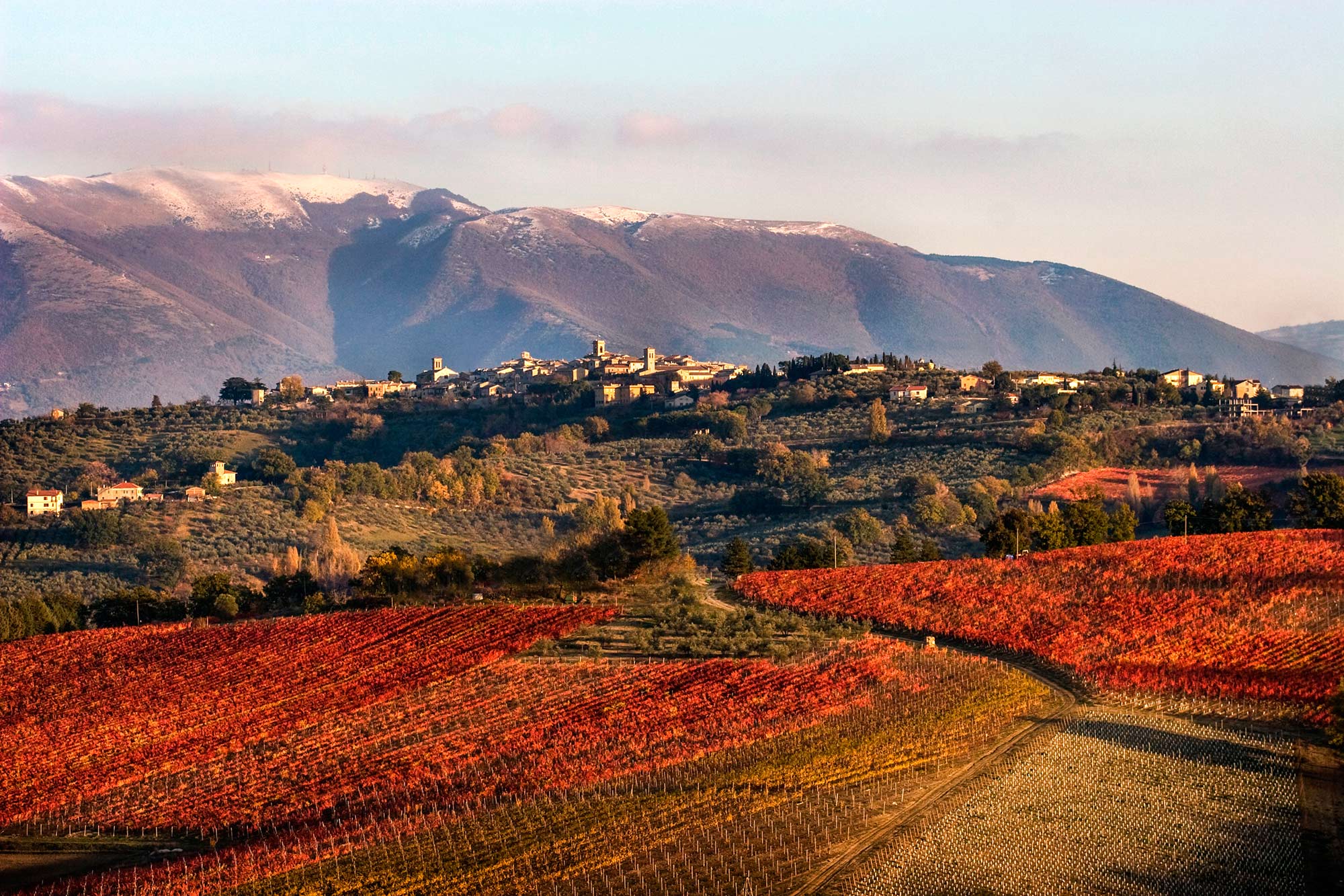 Montefalco landscape