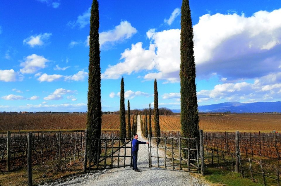 PRIVATE TUSCANY WINE TOURS & TASTINGS