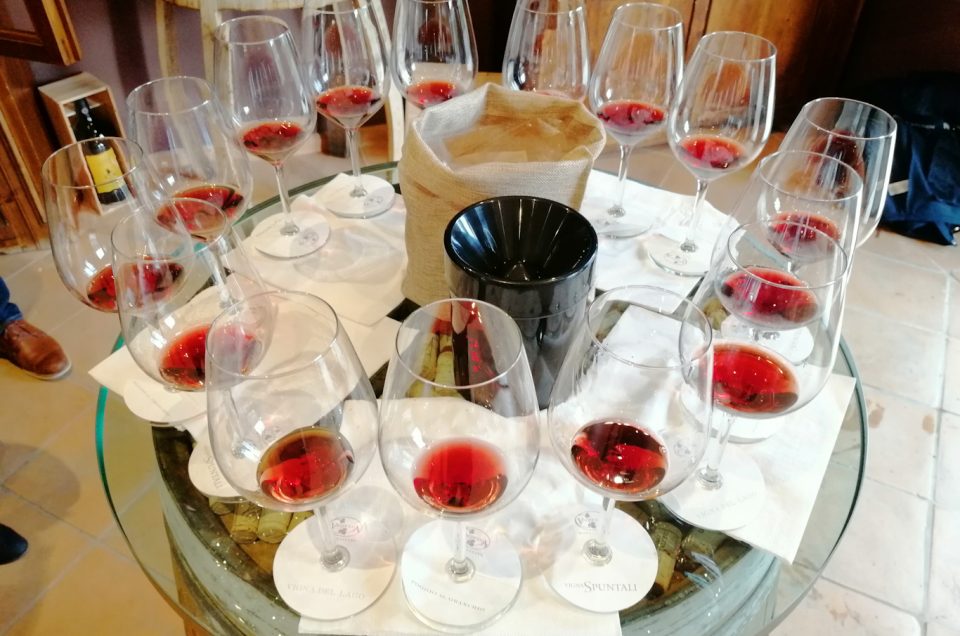 Brunello di Montalcino wine tasting experiences with Sommelier